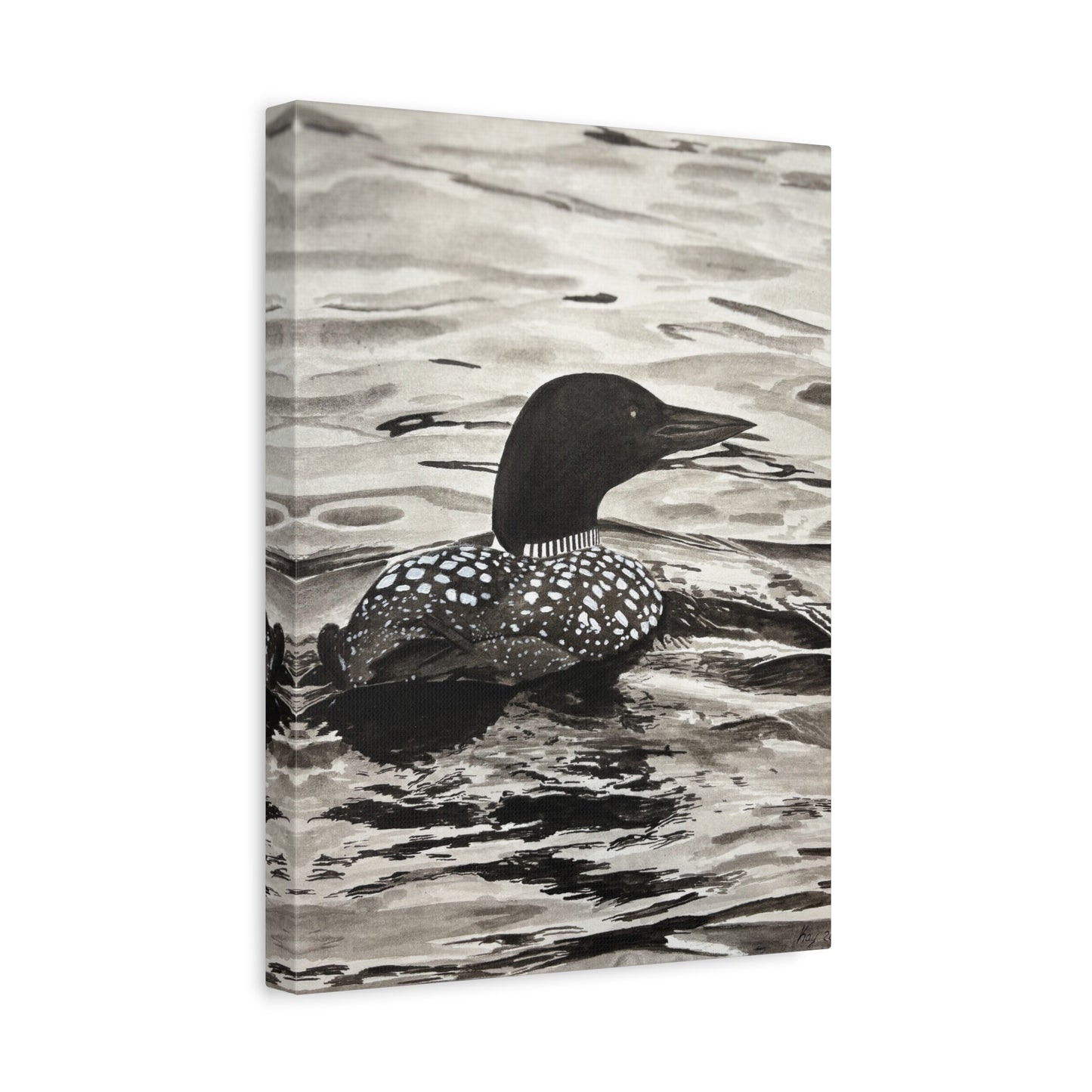 Loon Canvas Print