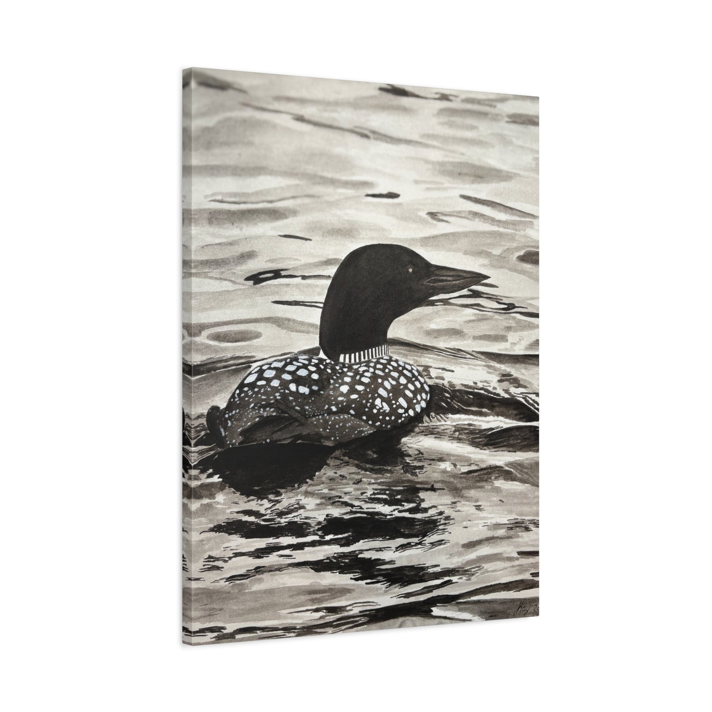Loon Canvas Print