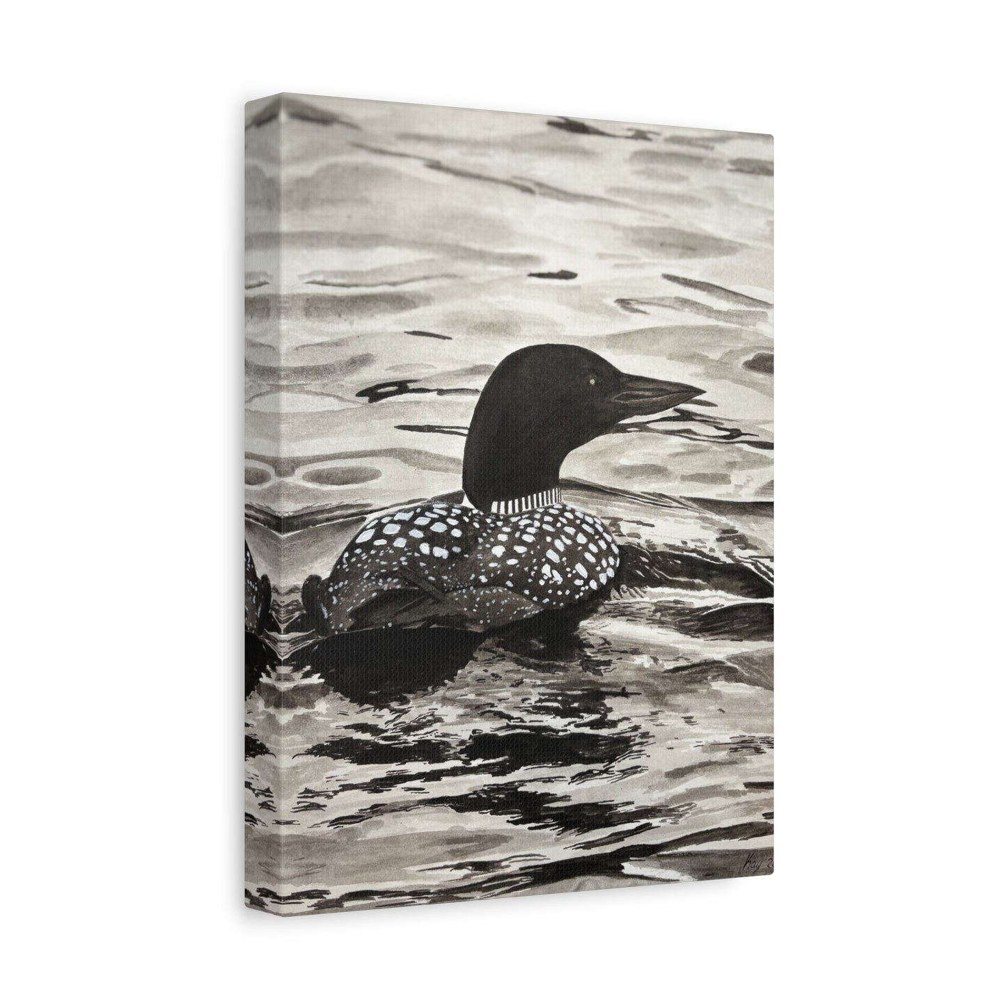 Loon Canvas Print