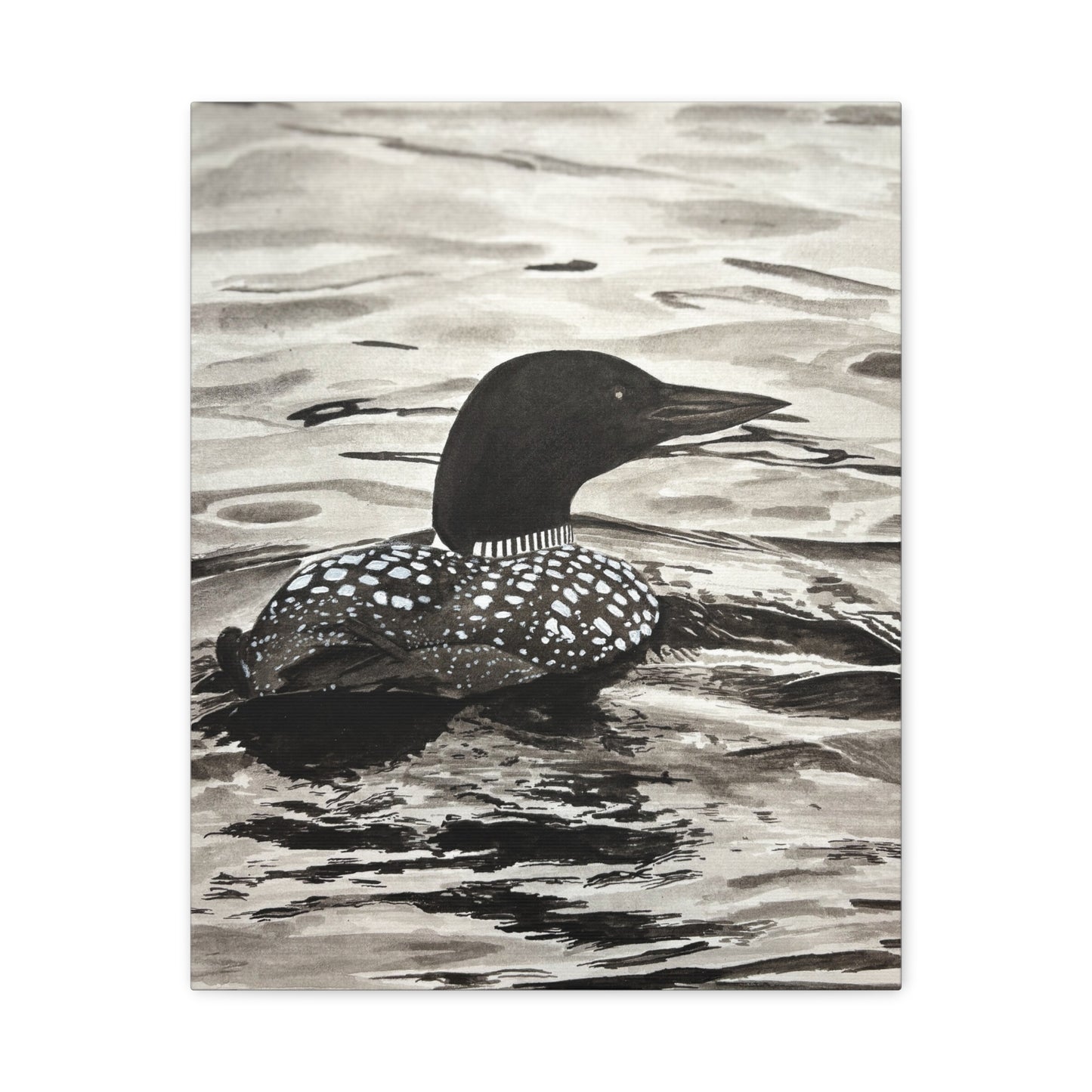 Loon Canvas Print