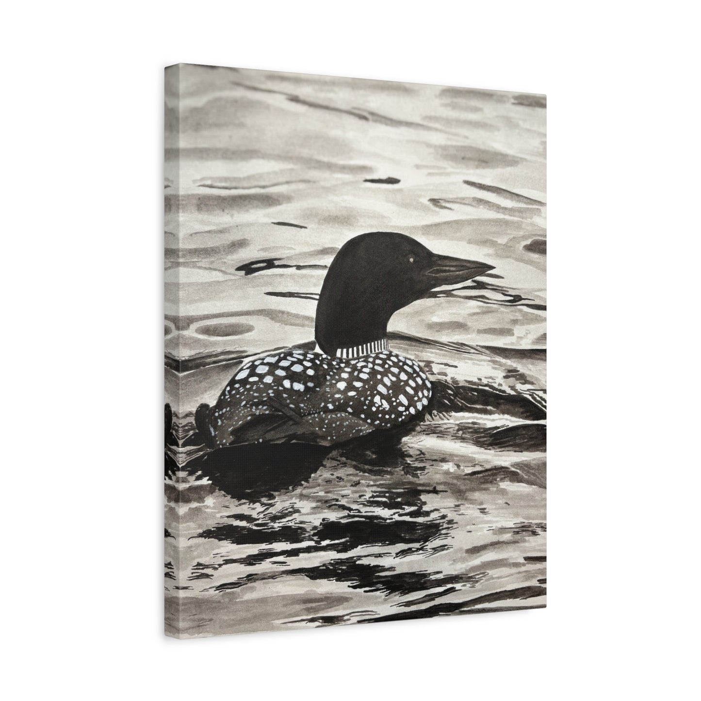 Loon Canvas Print