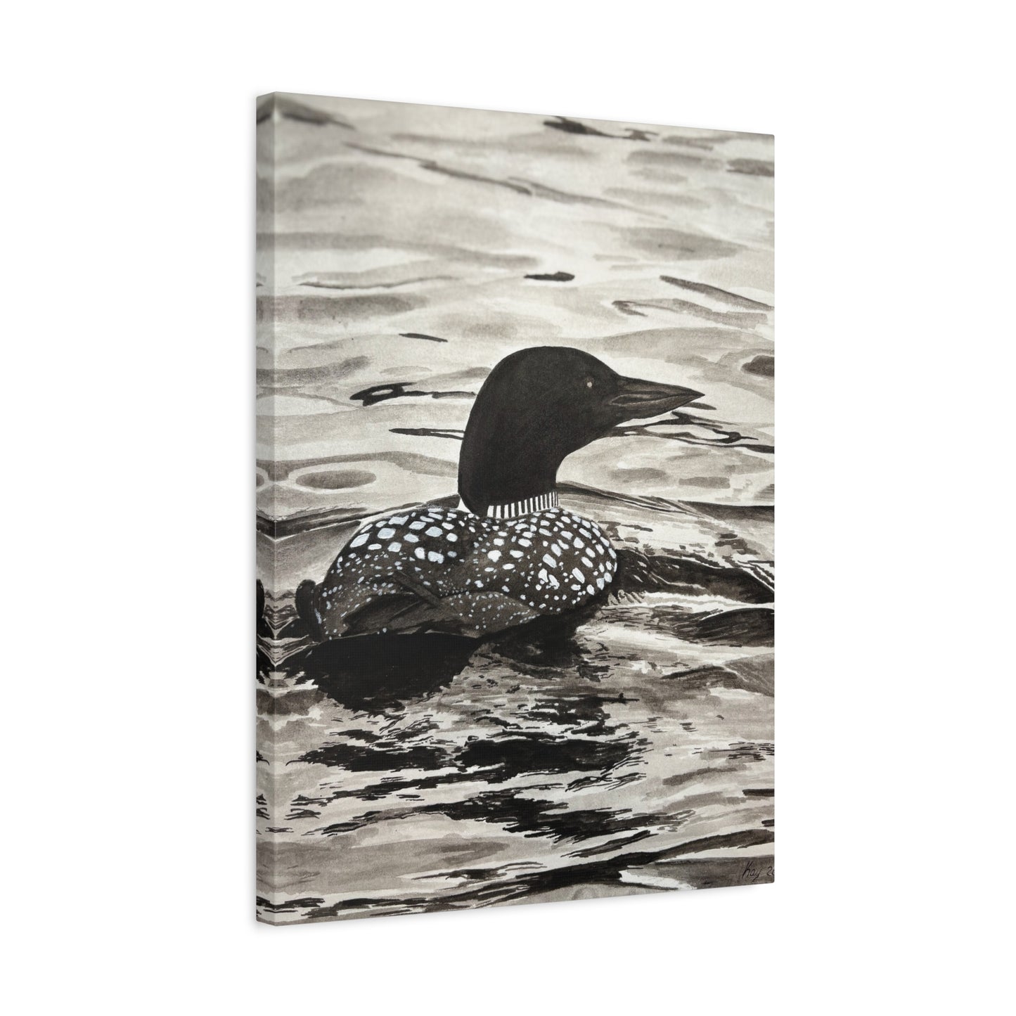 Loon Canvas Print