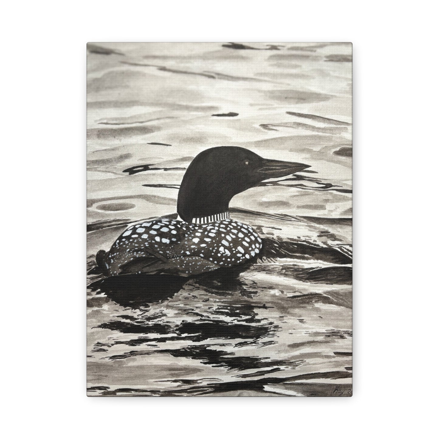 Loon Canvas Print